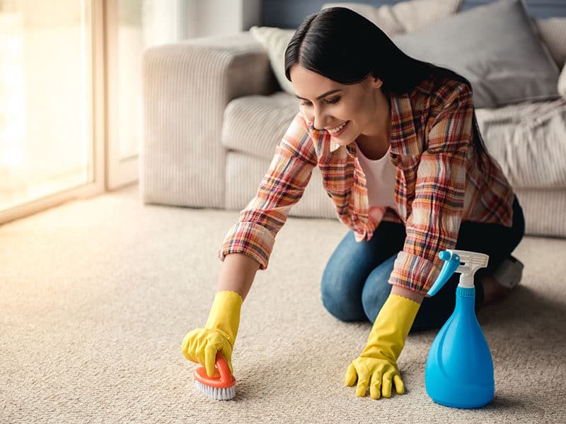 Carpet Cleaner Remove Stains