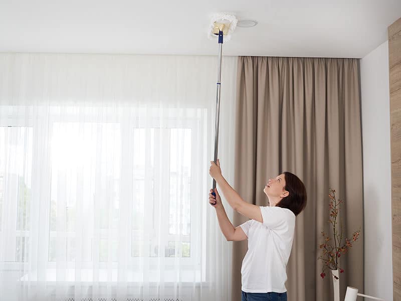 Cleaning Ceiling Mop