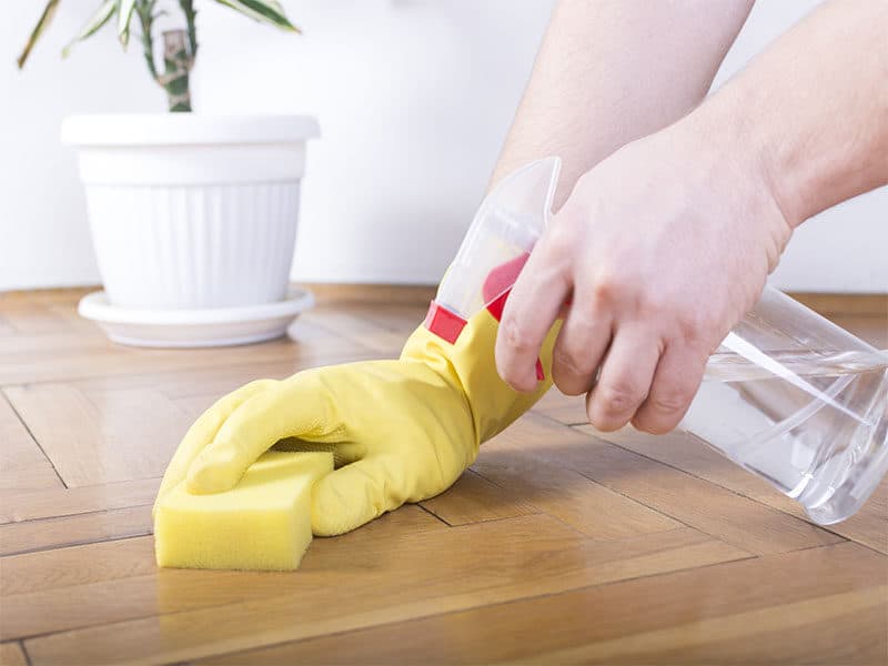 Floor Cleaning Sponge