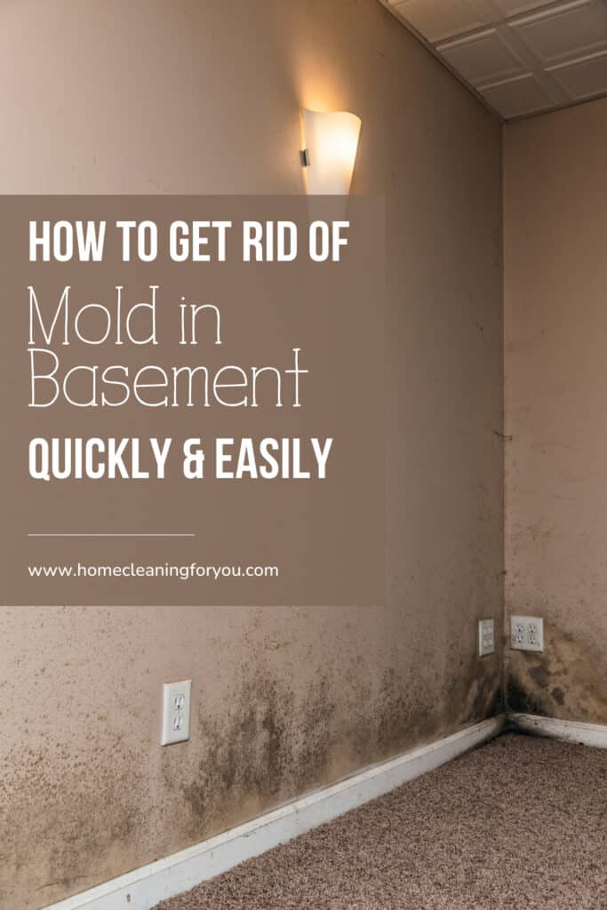 Get Rid of Mold in Basement
