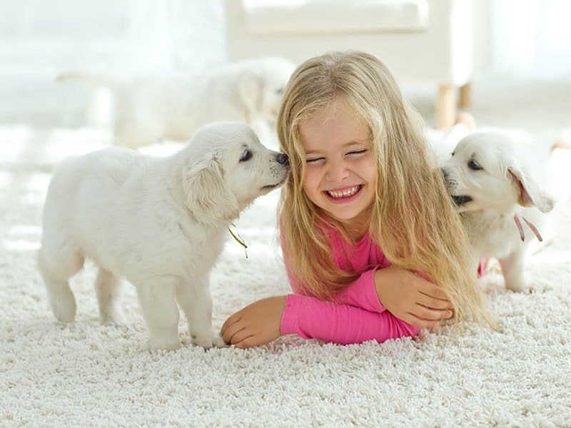 Little Girl With Pet on Carpet