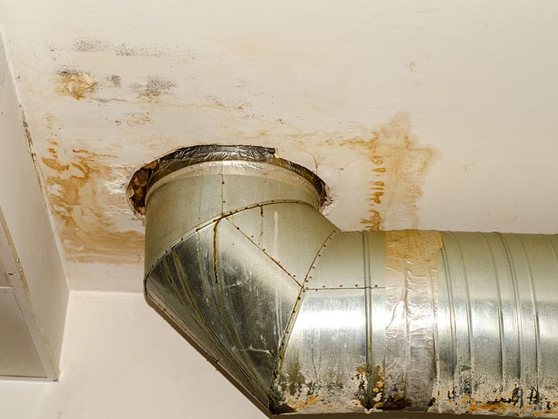 Pipe Roof Appear Mold