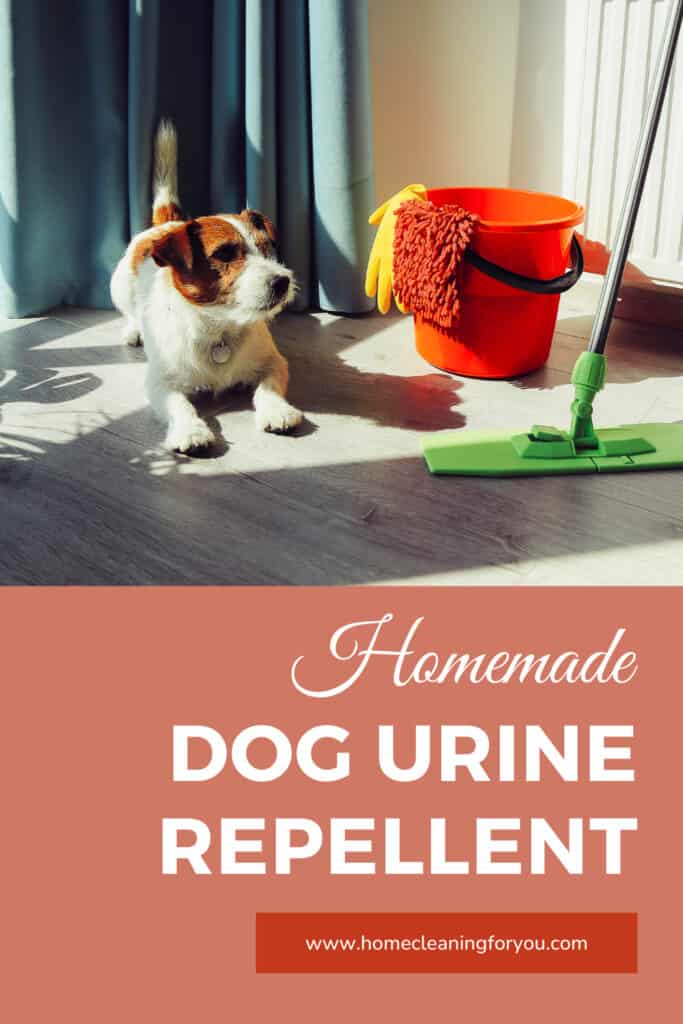 Homemade Dog Urine Repellent