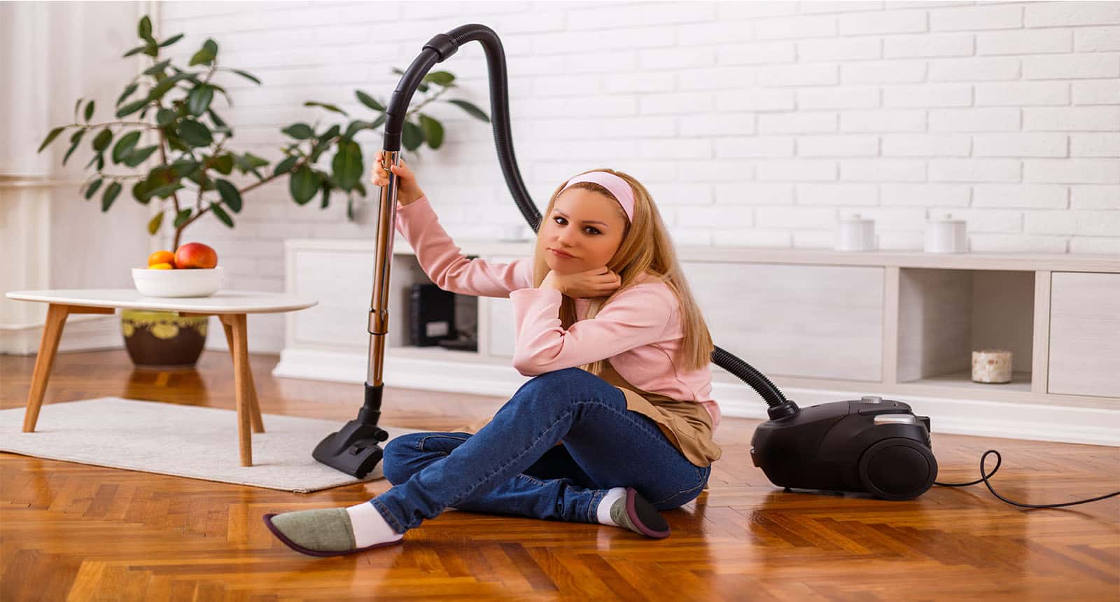 Housewife Vacuum Cleaner