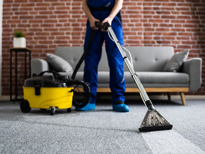 Carpet Vacuum Cleaner Home