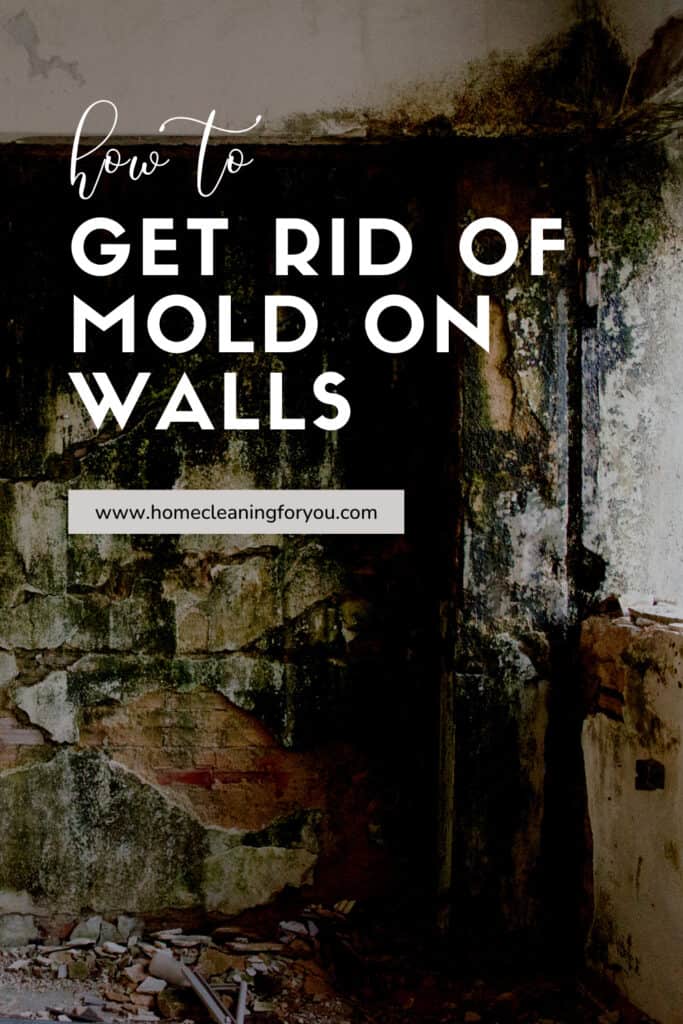 Get Rid Of Mold On Wall