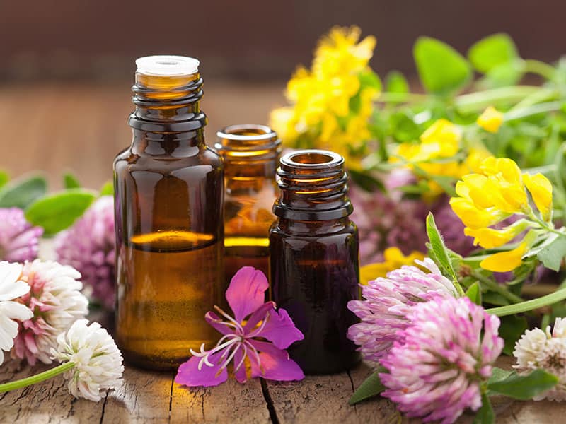 Oils Medical Flowers Herbs