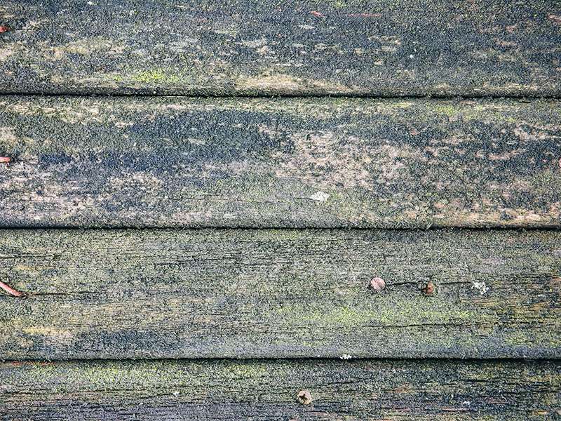 Planks Background Green Mold