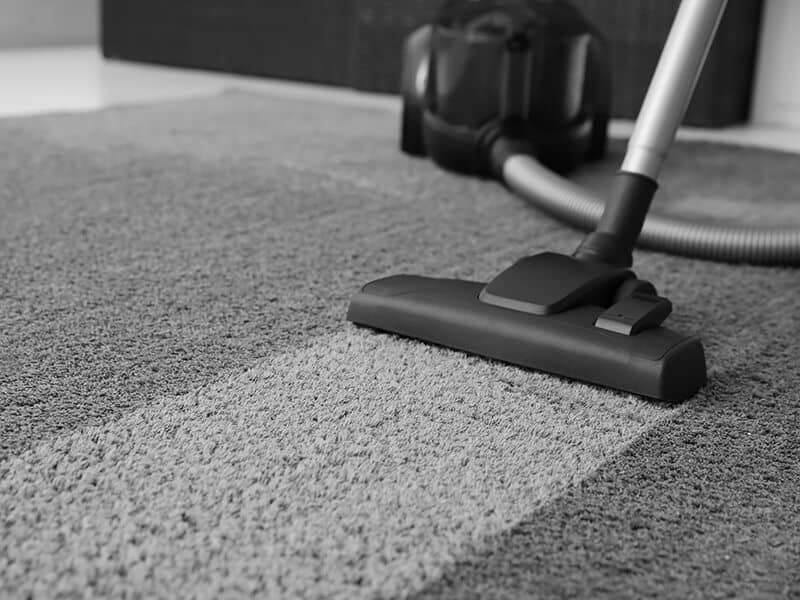 Vacuum Cleaner on Carpet