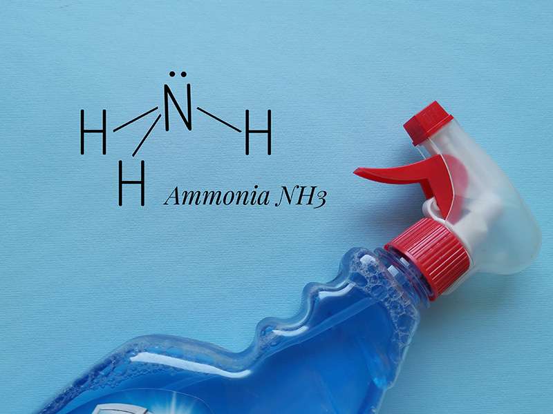 A Bottle of Ammonia