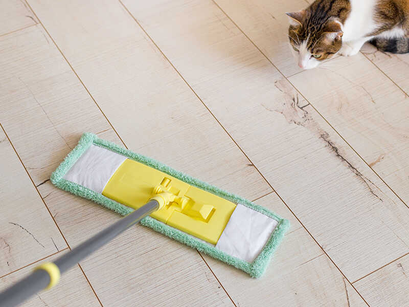Choosing Right Cleaning Mop