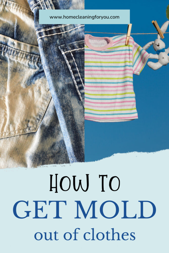 How To Get Mold Out Of Clothes