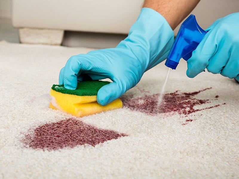 Solvent Based Stain Removal