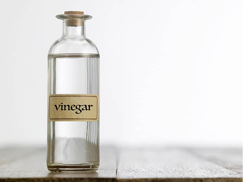 Vinegar Mainstay