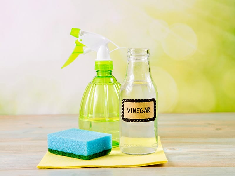 Vinegar Is Versatile Household Ingredient