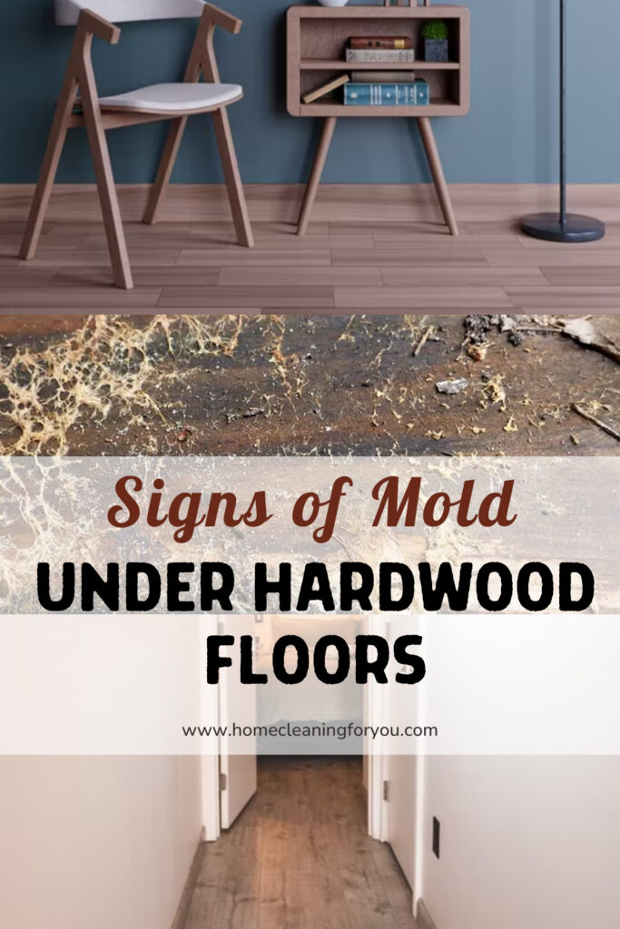 Signs Of Mold Under Hardwood Floors